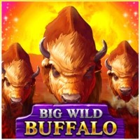online slot from Belatra Games